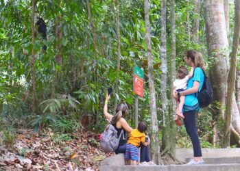 Bosque da Ciência completa 30 anos como ambiente seguro e impacto significativo