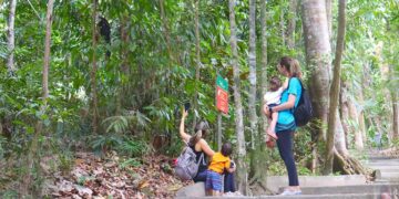 Bosque da Ciência completa 30 anos como ambiente seguro e impacto significativo