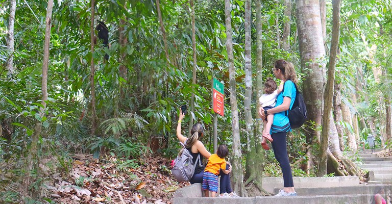 Bosque da Ciência completa 30 anos como ambiente seguro e impacto significativo