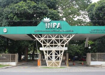 Inpa lança oferta tecnológica para licenciamento exclusivo de 30 tecnologias