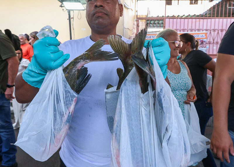 Páscoa na Floresta: mais de 100 toneladas de pescado é doada e beneficia 45 mil famílias na Semana Santa