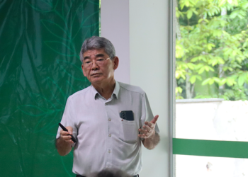 Seminários da Amazônia discutem soluções sustentáveis para a indústria madeireira