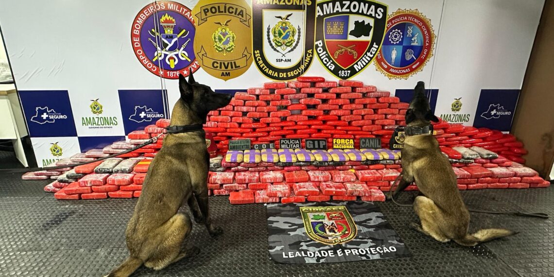 Seis pessoas são presas em flagrante transportando mais de 500 kg de drogas em balsas