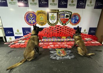 Seis pessoas são presas em flagrante transportando mais de 500 kg de drogas em balsas