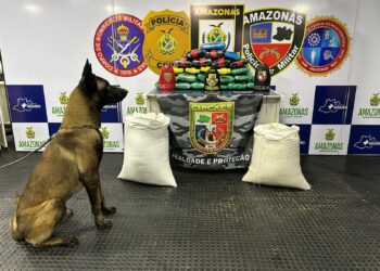 Cão policial Xerife localiza 36 quilos de droga em embarção