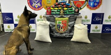 Cão policial Xerife localiza 36 quilos de droga em embarção