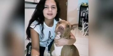 Mulher de 31 anos morre atacada pelo próprio pitbull em Goiás