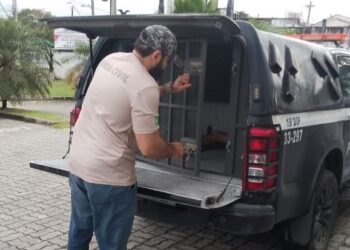 Homem é preso por crime cometido nas redes sociais