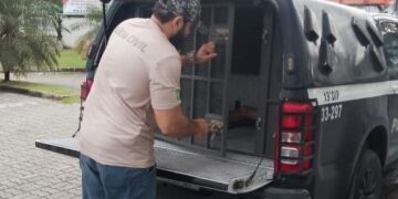 Homem é preso por crime cometido nas redes sociais