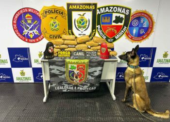 Cão policial Xerife localiza pasta-base de cocaína e maconha em embarcação