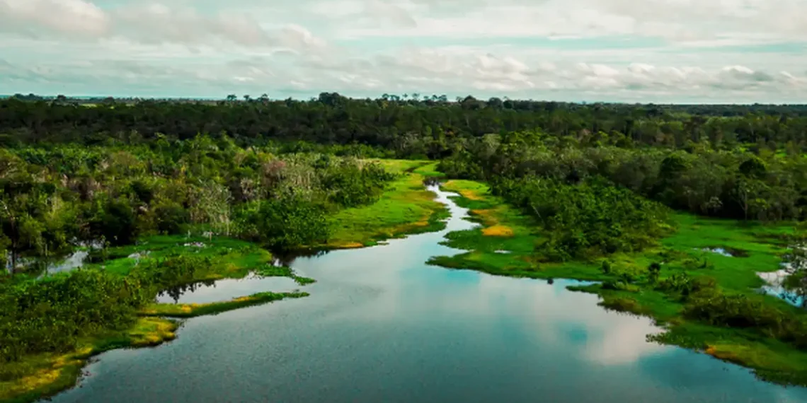 APA Jará terá trilha ecológica, no oeste do Pará, terá trilha ecológica