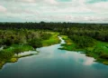 APA Jará terá trilha ecológica, no oeste do Pará, terá trilha ecológica