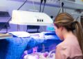 OMS lança campanha para reduzir mortes maternas e neonatais BR
