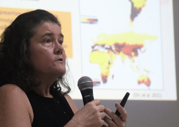 Segredo das abelhas amazônicas: como estes pequenos insetos controlam o futuro da alimentação global