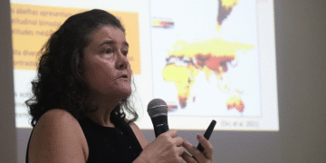 Segredo das abelhas amazônicas: como estes pequenos insetos controlam o futuro da alimentação global