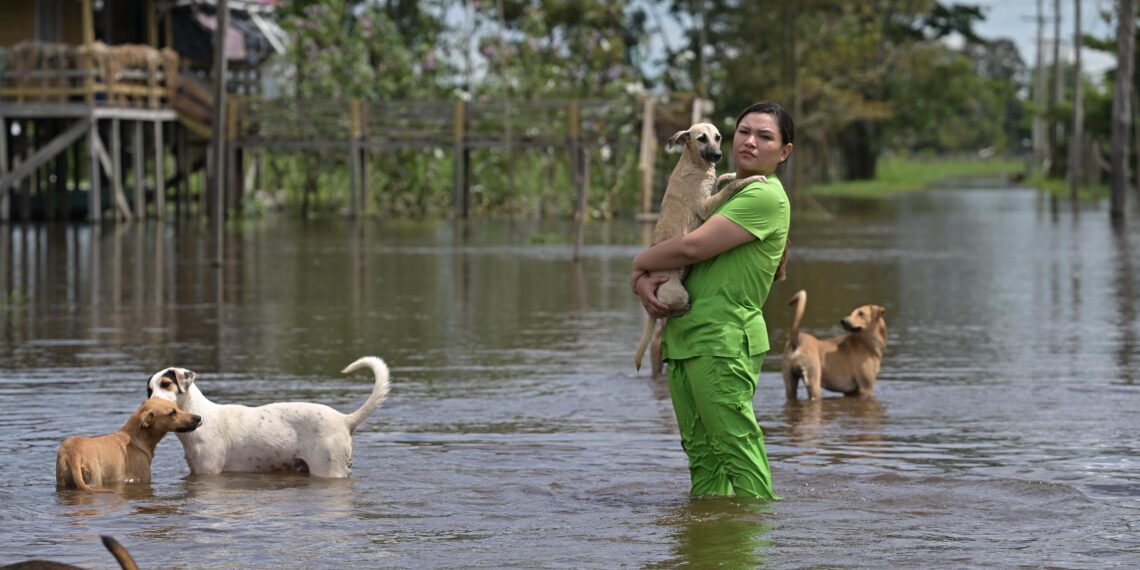 Deputada Joana Darc lança campanha para ajudar animais afetados pela cheia