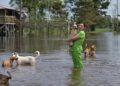 Deputada Joana Darc lança campanha para ajudar animais afetados pela cheia