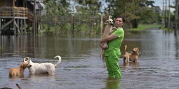 Deputada Joana Darc lança campanha para ajudar animais afetados pela cheia