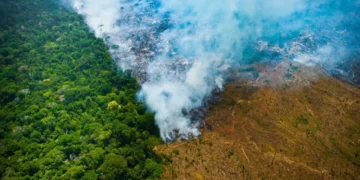 Desmatamento: Amazônia perdeu área equivalente à cidade de Belo Horizonte em abril
