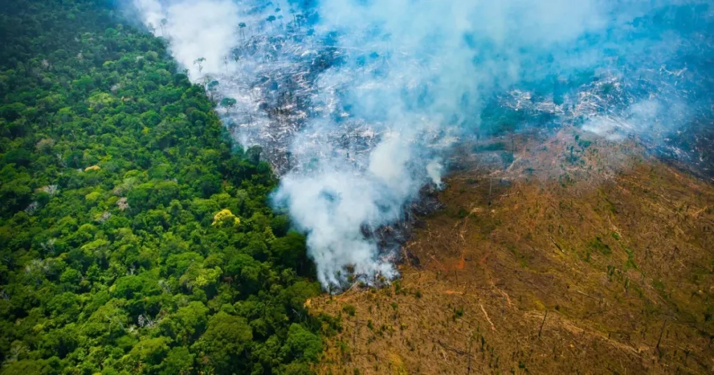 Desmatamento: Amazônia perdeu área equivalente à cidade de Belo Horizonte em abril