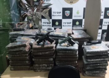 Polícia Civil do Amazonas apreende mais de 200 kg de skunk avaliados em R$ 5 milhões em Barcelos