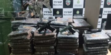 Polícia Civil do Amazonas apreende mais de 200 kg de skunk avaliados em R$ 5 milhões em Barcelos