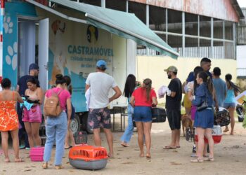 Sepet realiza castração de 300 animais em Barcelos