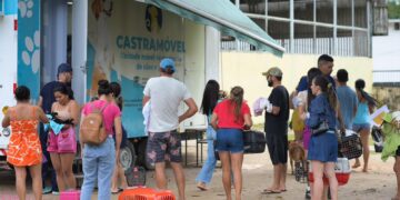 Sepet realiza castração de 300 animais em Barcelos