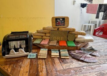 PF deflagra Operação Linhagem com 12 prisões para desarticular esquema de R$ 362 milhões no Amazonas