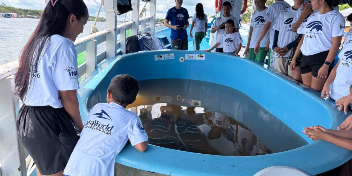 Cinco peixes-bois órfãos são soltos no rio Purus após reabilitação feita por projeto do Inpa e Ampa