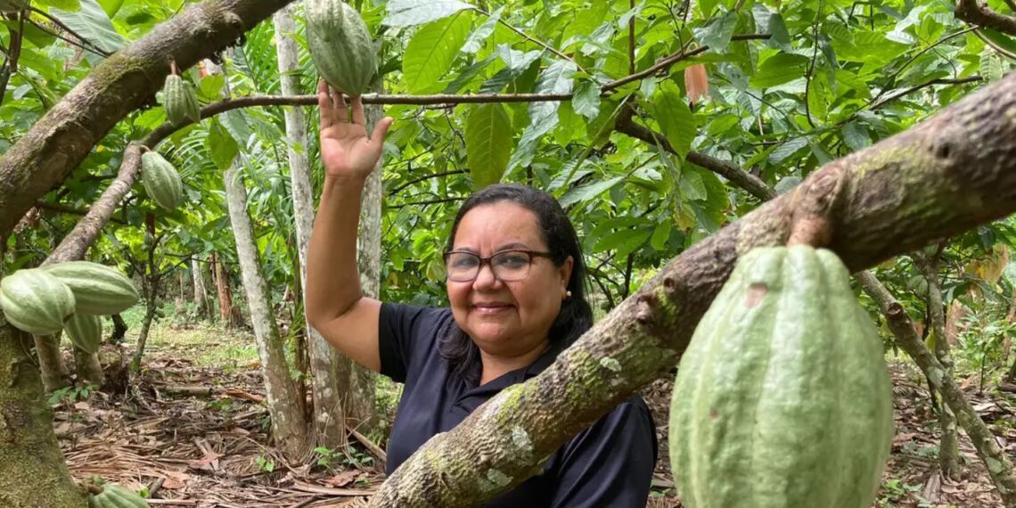 Bioeconomia ganha força na Amazônia com novos investimentos e protagonismo de comunidades tradicionais