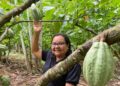 Bioeconomia ganha força na Amazônia com novos investimentos e protagonismo de comunidades tradicionais