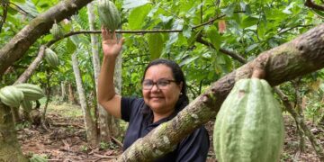 Bioeconomia ganha força na Amazônia com novos investimentos e protagonismo de comunidades tradicionais