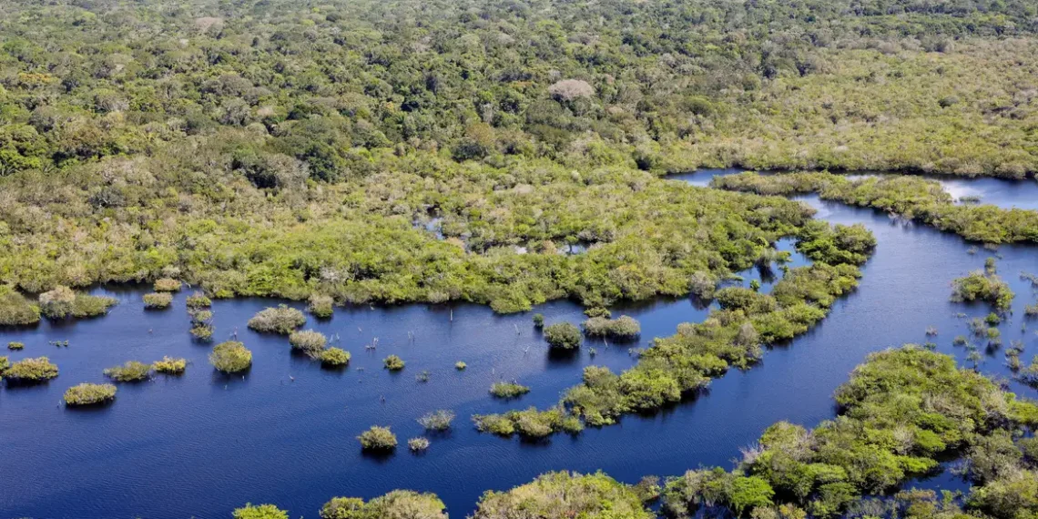 Brasil reduz desmatamento em cinco biomas em 2024, mas Mata Atlântica segue em alta