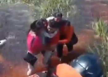 Jacarés, cobras, insetos: passageiros contam como sobreviveram por 36 horas após acidente aéreo