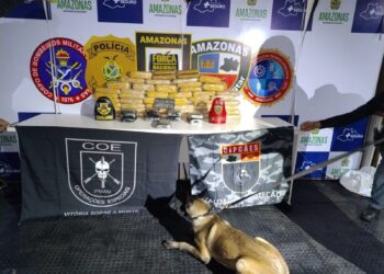 Cão farejador ajuda PM a apreender 40 kg de cocaína