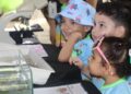 Semana do Meio Ambiente do Inpa recebe mais de 4 mil visitantes