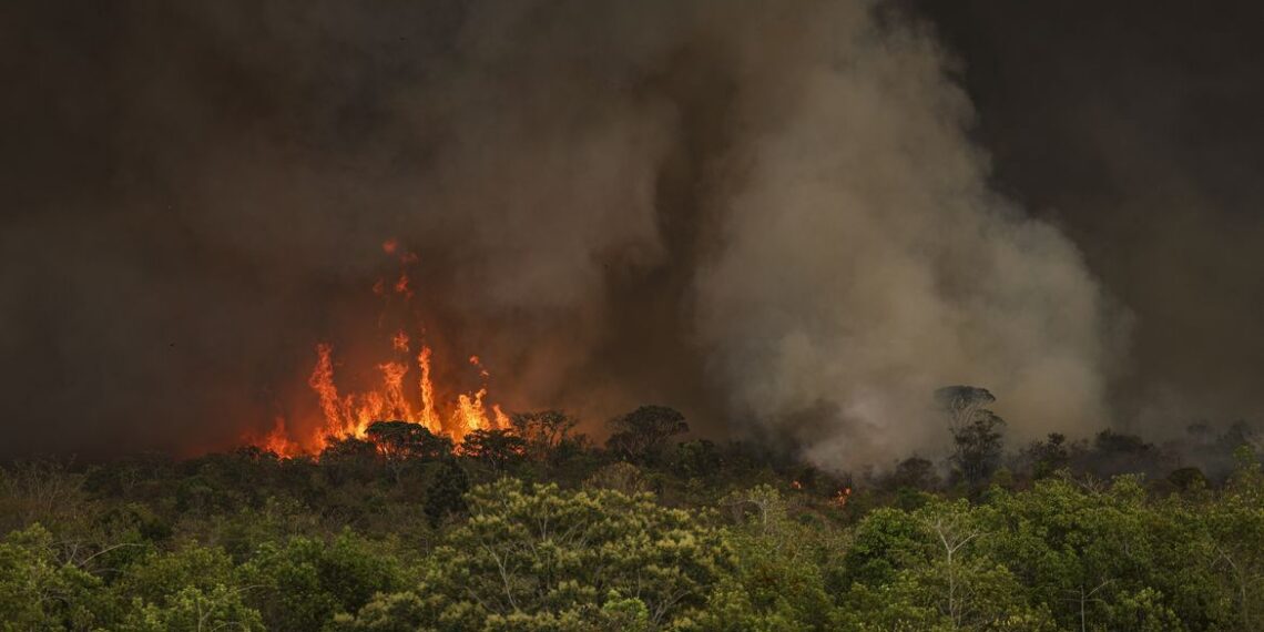 Desmatamento na Amazônia sobe 92% em maio de 2025 e incêndios florestais são principais responsáveis