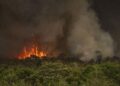 Desmatamento na Amazônia sobe 92% em maio de 2025 e incêndios florestais são principais responsáveis