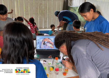 Inpa inicia inventário inédito de invertebrados aquáticos em áreas de altitude da Amazônia