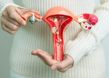Menopausa: especialista esclarece os principais mitos sobre esse período natural da vida feminina