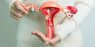 Menopausa: especialista esclarece os principais mitos sobre esse período natural da vida feminina