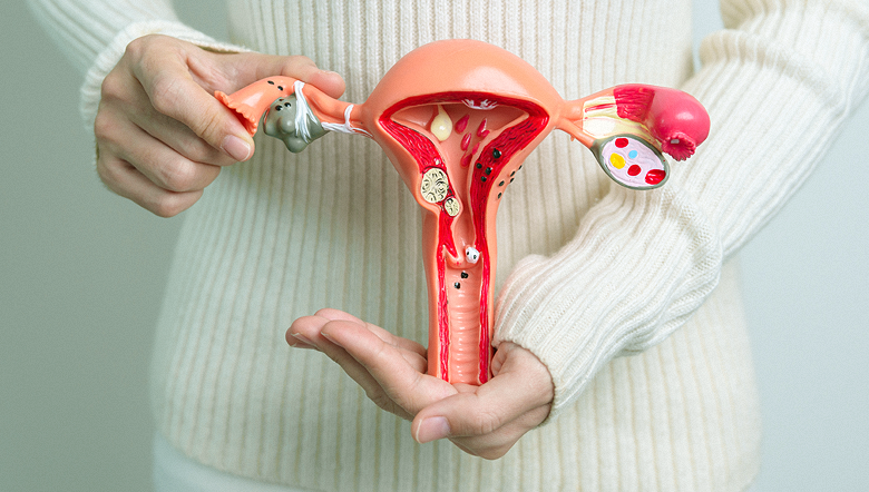 Menopausa: especialista esclarece os principais mitos sobre esse período natural da vida feminina
