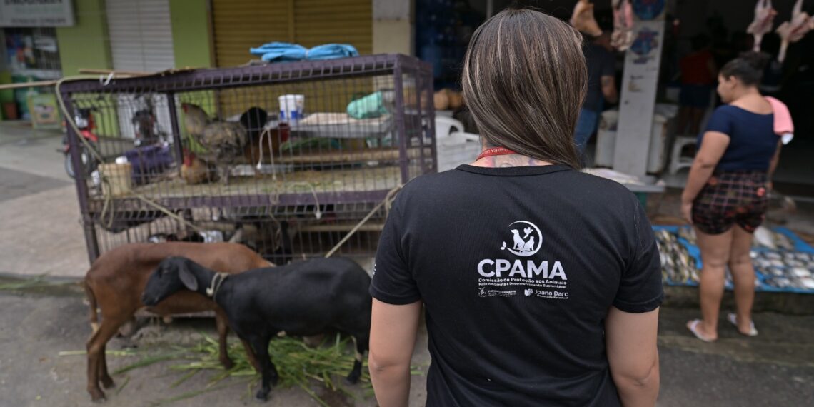 Comissão da Aleam realiza mais de 500 averiguações de maus-tratos a animais no primeiro semestre