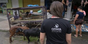 Comissão da Aleam realiza mais de 500 averiguações de maus-tratos a animais no primeiro semestre