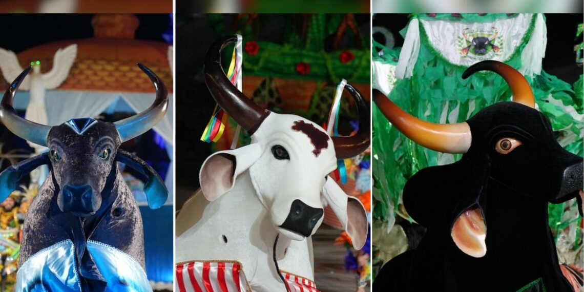 Batalha dos bois-bumbás marca a última noite do 67º Festival Folclórico do Amazonas