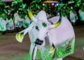 Em Parintins, revistas em quadrinhos resgatam história do Boi Mirim Estrelinha
