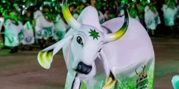 Em Parintins, revistas em quadrinhos resgatam história do Boi Mirim Estrelinha
