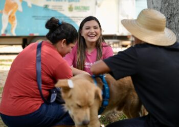 Joana Darc celebra mais de 800 castrações de animais em Iranduba com o Castramóvel