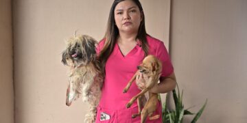 Projeto de Joana Darc propõe Semana Estadual sobre elo entre maus-tratos a animais e violência doméstica